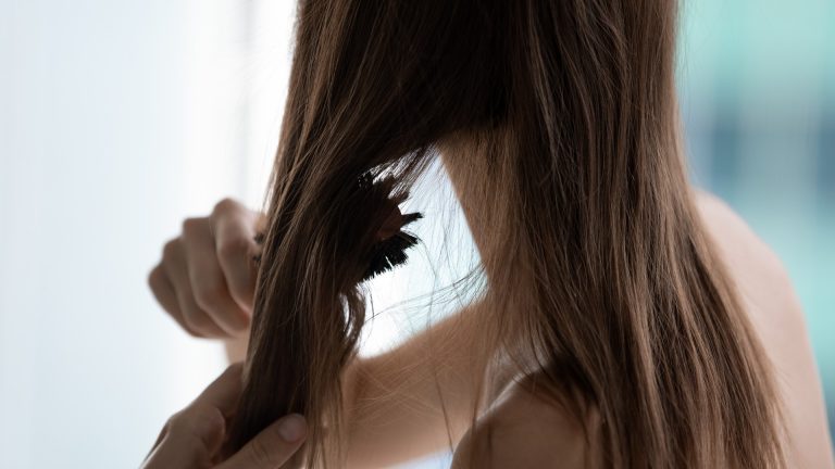 How Long Can Head Lice Survive on a Hairbrush?