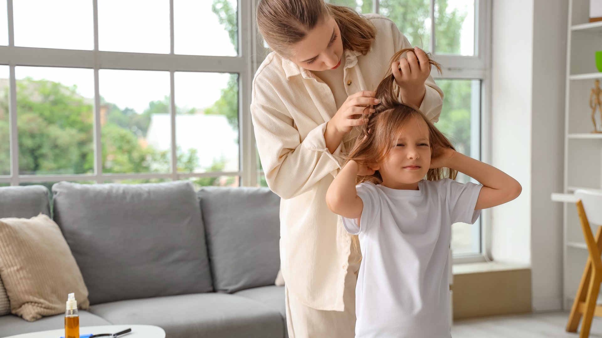 Why Lice Don't Care How Cold It Gets Outside featured image