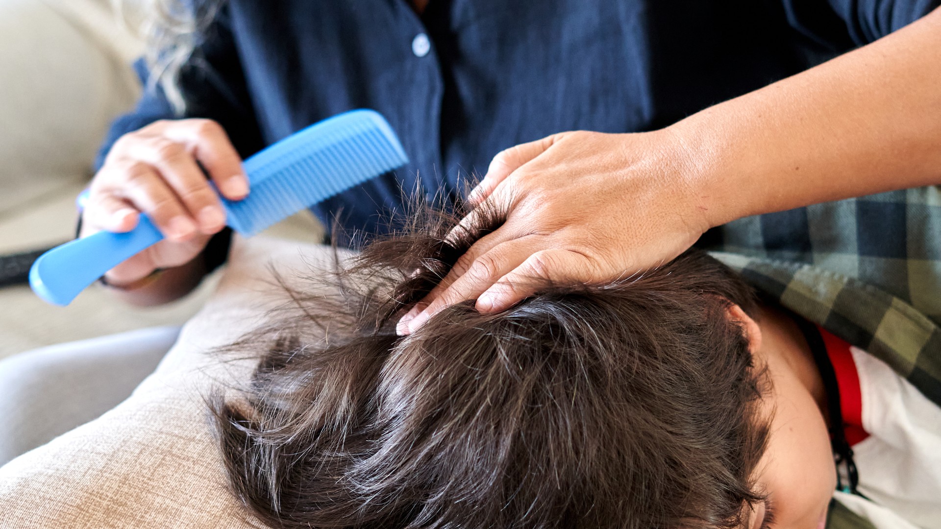 Lice Can Hide for Weeks Before the First Itch