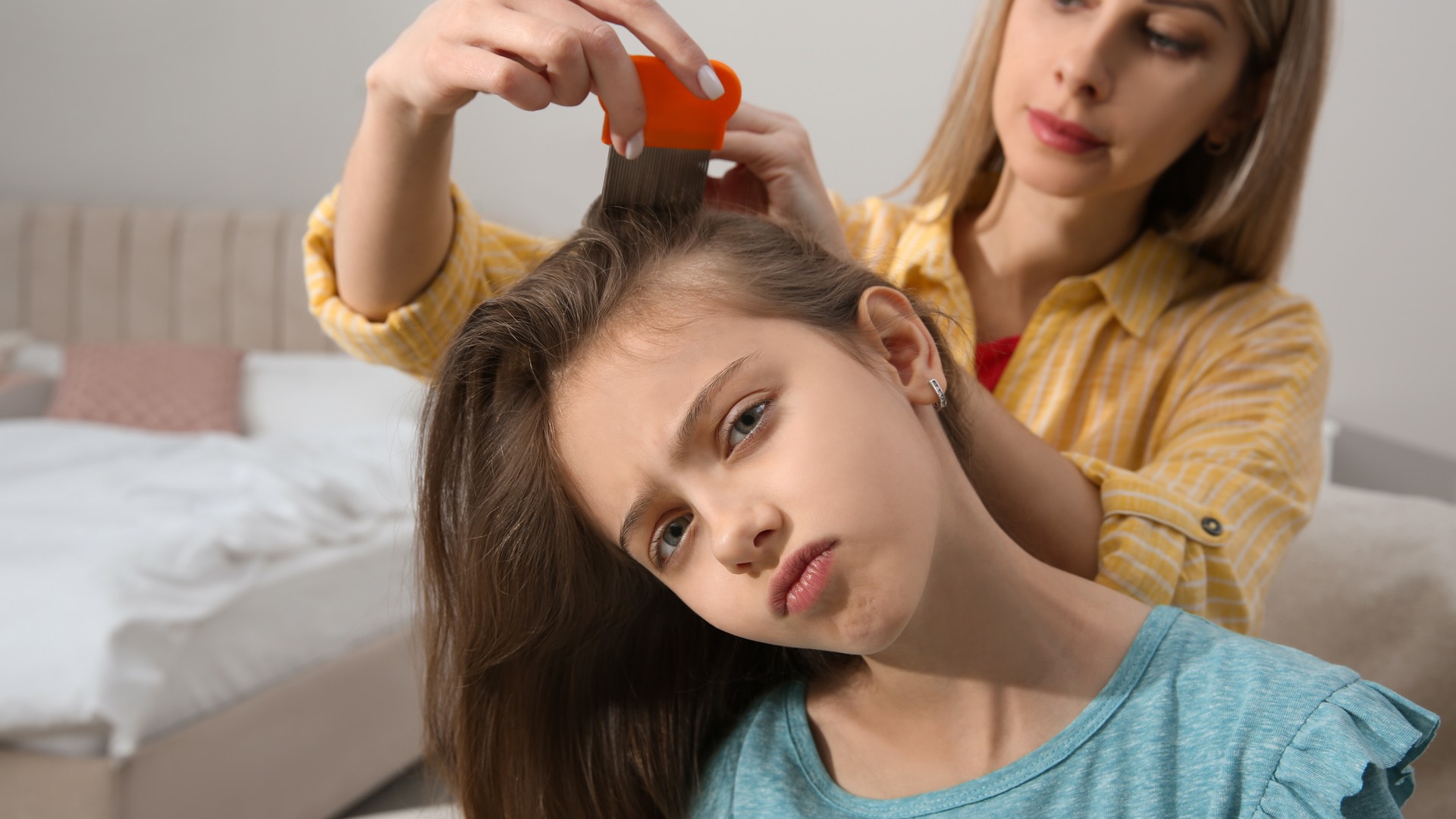 Teenagers Get Head Lice, and Parents Rarely Check