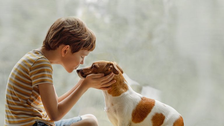Dogs and Cats Don’t Catch or Spread Head Lice