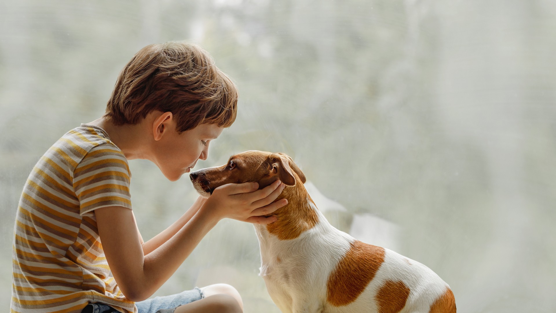 Dogs and Cats Don’t Catch or Spread Head Lice
