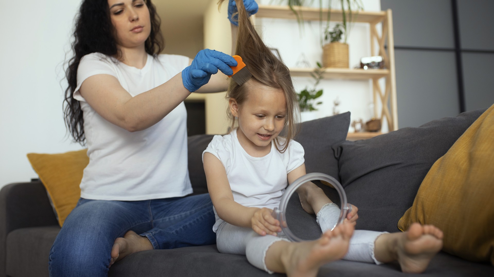 Exposed to Lice? Check on Day 7, Not Just Tonight featured image